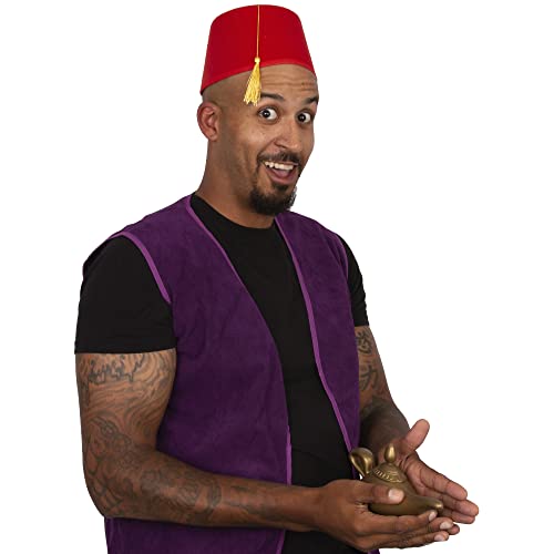 Tigerdoe Arabian Prince Costume – Street Rat Costumes for Men –Men's Arabian Folk Hero Costume - Magic Genie Lamp, Purple Vest and Hat