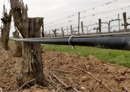 Grapa Goteo Agrifast E-42. Grapa de Acero galvanizado para Tubo de 16-20 mm. 1080uds.