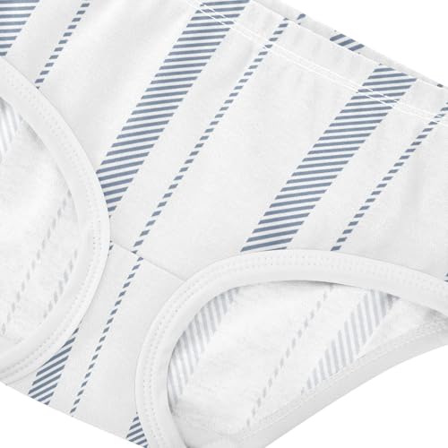 Training Panties Panties Training Comfort Underwear for Girls in Sizes 2T,3T, 4T, 5T, 6Y and 8Y4