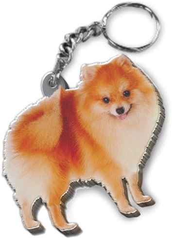 Got Yo Gifts Pomeranian Mirrored Acrylic Keychain