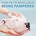 TropiClean SPA Tear Stain Remover for Dogs | Blueberry Facial Shampoo | Odor Eliminator | Tearless | Whitening and Brightening | Made in USA | 8oz.