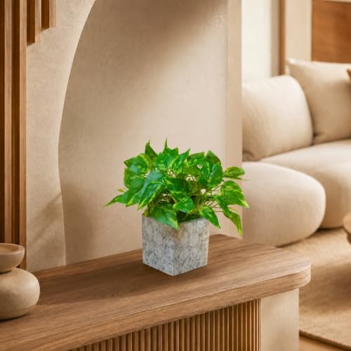 Image of fancymart Artificial Plant with Real-Touch Leaves in Pot, 25 cm, Indoor Tabletop Item for Home Decor, Office, Living Room