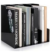 Vertical Magazine File Holder, Black File Organizer Desk Organizer and Storage Bins Holding for M...