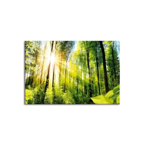 �ؘg�t���̊����i �A�[�g�p�l�� �C���e���A �ǊG �G�� ����G �G �Ǌ|�� �� ���G �p�l�� �Ǐ��� �z�[�� (40x60cm�i16x24in�j,B)