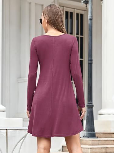 Image of MOLERANI Women's Long Sleeve Casual Swing Simple T-Shirt Loose Dress