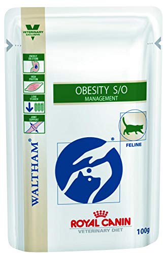 Ração Royal Canin Diet Gatos Obesity S/O 100G Royal Canin para Todas Todos os tamanhos de raça Adult