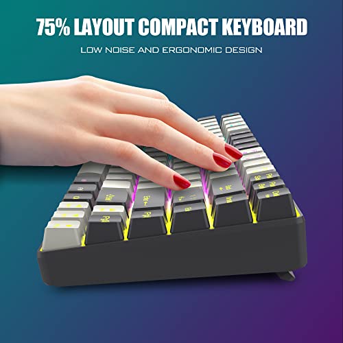 Redthunder K84 Wireless Keyboard And Mouse Combo, Rgb Backlit Rechargeable Battery, 75% Layout 84 Keys Tkl Ultra Compact Gaming Keyboard & Lightweight 3200 Dpi Honeycomb Optical Mouse (White-Gray) #TOP6