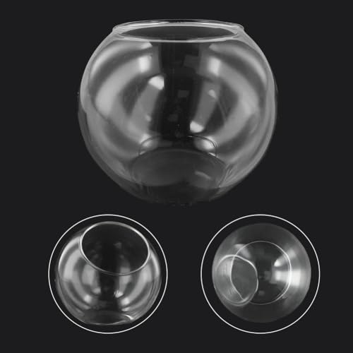 JoyousMall Vase terrarium élégant en verre borosilicate transparent pour plantes grasses