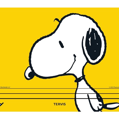 Bouteille d'eau Peanuts Snoopy gourde anti-condensation grand format en inox