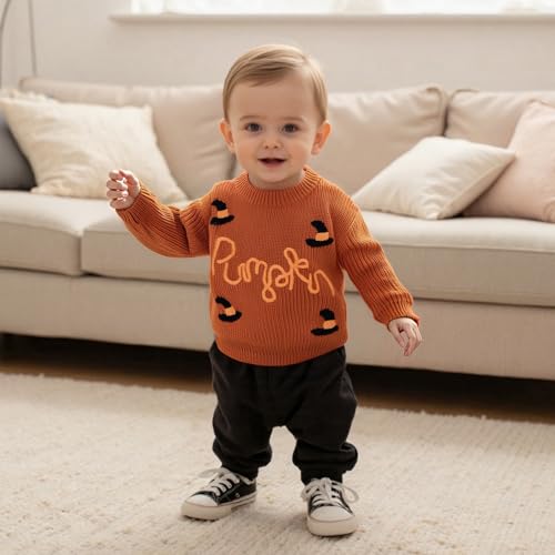 fhutpw Baby Boy Girl Pullover Sweater 3 6 12 18 Months Knit Clothes Unisex Toddler 2T 3T 4T Fall Winter Warm Long Sleeve Tops