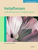  Heilpflanzen: Sanfte Behandlung von Alltagsbeschwerden