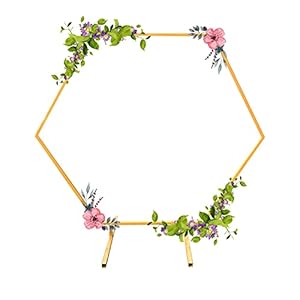 Hexagon boog achtergrond, bruiloft rekwisieten decor smeedijzeren ronde ring boog achtergrond gazon zijde kunstmatige bloem rij staan ​​muur plank goud,2m