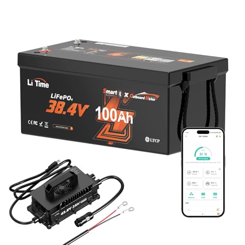 LiTime 36V 100Ah OBM Bluetooth Low-Temp Protection LiFePO4 Battery...