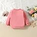 Yanmucy Toddler Baby Girl Clothes Lace Ruffle Cotton Pullovers Sweatshirt Long Sleeve Crewneck Sweatshirts Casual Jumper Top (US, Age, 6 Months, 9 Months, Pink)