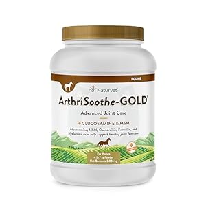 NaturVet ArthriSoothe Gold Advanced Joint Horse Supplement Powder – For Healthy Joint Function in Horses – Includes Glucosamine, MSM, Chondroitin, Hyaluronic Acid – 120 Day Supply