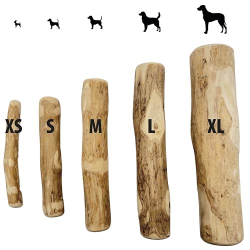 Kaffeeholz Kaustab für Hunde – 100 % natürlich & nachhaltig | Fördert Zahngesundheit & reduziert Zahnstein | Splitterarmes, langlebiges Kauspielzeug für kleine, mittlere & große Hunde (L)