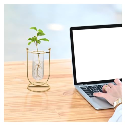 Florero hidropónico de cristal en U jarrón decorativo transparente 7