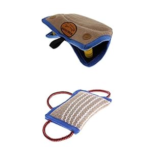 Fenteer Bijtwig en bijtkussen set voor honden