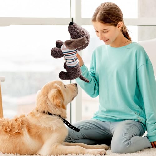 Hunde Kauspielzeug - Quietschendes Plüsch Hundespielzeug Dackel Design für Welpen | Zahnreinigung Welpenspielzeug Weiches Stofftier Spielzeug Interaktives Kauspielzeug für Haustiere Spielzeit