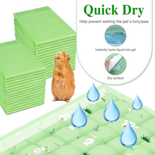 Alwz-Rdy DISPOSABLE CAGE LINER Disposable Guinea Pig Cage Liners 30Ct, Odor Control Guinea Pig Cage Bedding Accessories Super Absorbent Pee Pads For Guinea Pigs , Rabbits thumb #2
