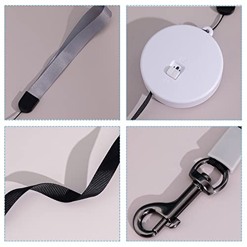 3m/9.8ft Hundeleine, Einziehbare Kleine Hunde Rollleine, Tragbar Automatische Dog Leash für Kleine Hunde, Katzen, Welpen, Kaninchen bis zu 5 kg(Arm-Band Farbe Zufällig)