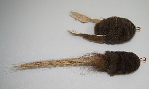 CoolCyberCats Fun Buffalo Rat Pack Frog, Tadpole Refill/Attachments- Fits Wildcat and Popular Bird