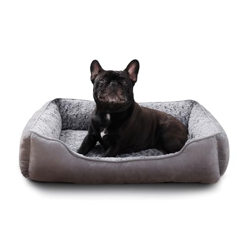 Oiilores Letto per cani medio, lavabile, divano letto morbido peluche, calmante anti-ansia, materasso rettangolare con fondo antiscivolo, 75 x 55 cm, grigio