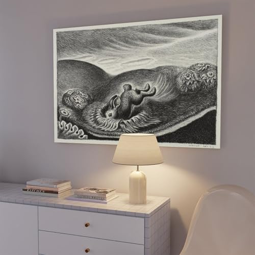 Poster Exit Wanda Gag avec cadre suspendu pour habiller un grand mur vide - 7