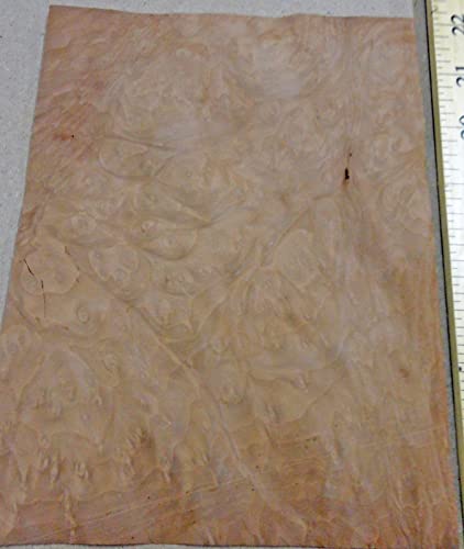 Madrone Burl Wood Veneer 5"-6" x 8"-9" raw 1/42" Thickness no Backing AA Grade