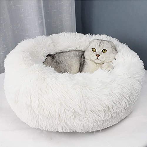 Katzenbett Hundebett Flauschig Waschbar rund Katzenkissen Hundekissen Plüsch Haustierbett Donut Hundekorb Katzenkorb für Katzen und kleine mittelgroßen Hunde (70CM, Weiß)
