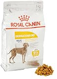 Royal Canin Maxi Dermacomfort 25, 1er Pack (1 x 3 kg Packung) - Hundefutter