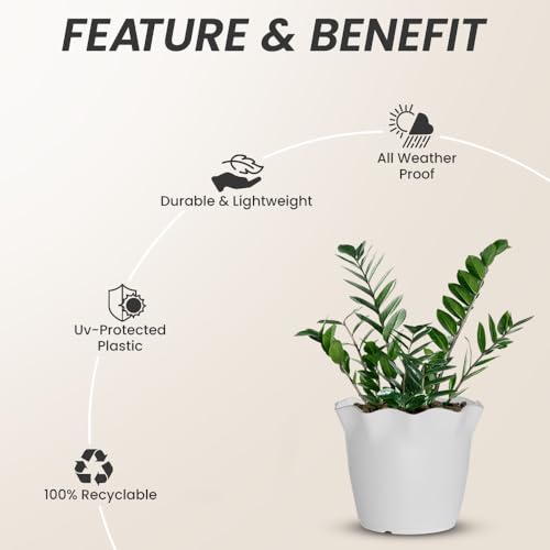 Image of YUCCABE ITALIA SHERA 4 Inch Plastic Flower Pot 12 Piece Set of Unbreakable Round Shape Planter for Home Garden Seedling, Indoor and Outdoor (White)