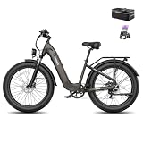Fafrees F26 Rover E-Bike 26 Zoll Fatbike 250W 48V 20Ah