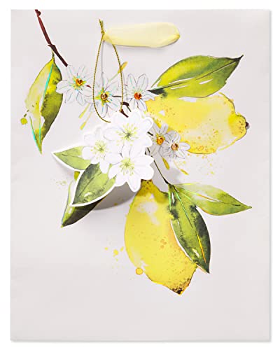 Image of Papyrus 9 inch Medium Gift Bag (Citrus) for Birthdays, Weddings, Bridal Showers, Baby Showers and All Occasions (1 Bag)