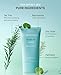 BRING GREEN Tea Tree CICA Mineral Sunscreen SPF 50+ PA++++ | Non-Nano Zinc Oxide Face Sun Lotion, Reef Safe Korean Sunscreen for Sensitive Skin, Oil-Free, 1.69 fl. oz