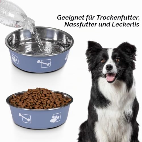 FrutPunch Hundenapf Edelstahl 2er-Set, Futternapf Hund mit Rutschfester Silikonbeschichtung, Fressnapf Hund Welpennäpfe für mittelgroße Hunde, 980ml