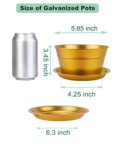 6 Inch Gold Shallow Small Metal Plant Pots With Saucer-6 Pack Medium Metal Galvanized Flower Pot With Drainage Hole,Planter Pots With Tray Perfect For Planting And Wedding Party Decor #TOP2