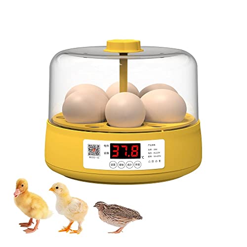 OUYOLAD Eierbrutkasten Hühnerbrutkasten LED Digitaler Bildschirm Geflügelbrutkasten Brutkasten für Eier Automatisches Drehen Intelligente Digitale Temperaturkontrolle Geschenkset für Kinder 6 Eier Cover