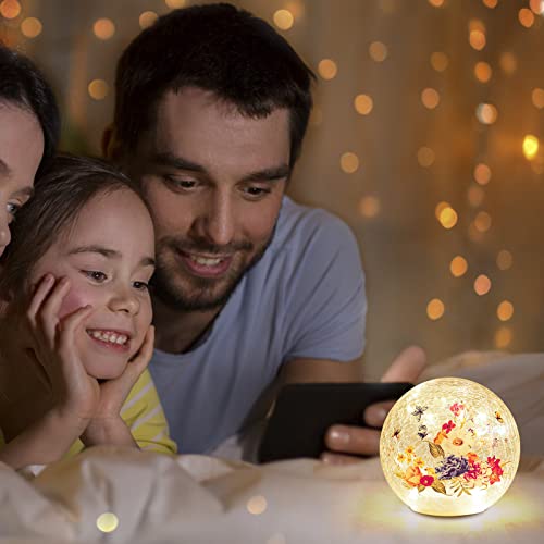Berscah Glass Ball Light Crackle Led Night Light Flowers Pattern Globe Glass Table Lamp, Orb Cardinal Night Light For Outdoor Decorations Pathway Patio Yard Lawn Bedroom - 1 Pack #TOP2