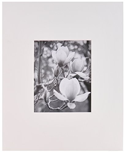 Nielsen Bainbridge PRE-Cut Center 16"X20" ARTCARE White MAT with 8"X10" Opening