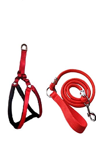 SENAPATI Dog Red Harness Medium with Rope Leash Set with Fibre Handle (Red Color, Waterproof, X-Large Rope) (B08R2K64LD) Amazon Price History, Amazon Price Tracker