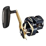 ダイワ(DAIWA) 21 ソルティガIC 300H-SJ