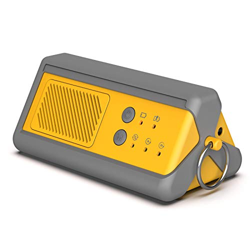 Airthereal PA1K-GO Portable Ozone Generator, 1000mg/h, Yellow | Cordless Battery Powered, For…