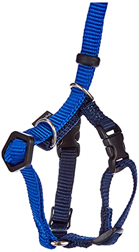 Harnais pour chat Easy Walk PetSafe avec laisse bleu taille S