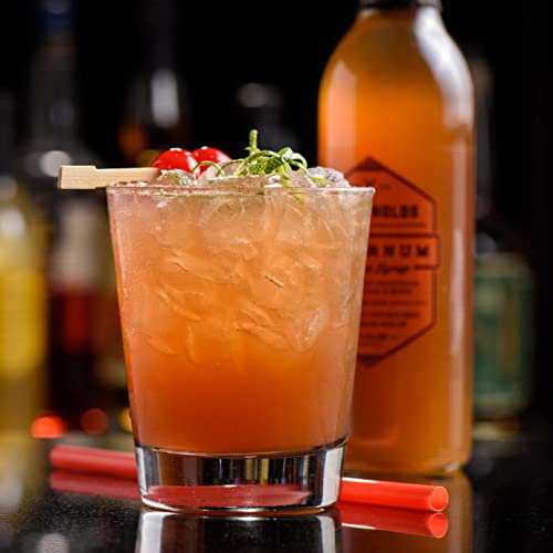 Bg Reynolds Natural Tiki Cocktail Cane Syrup, Cinnamon, 750 Ml, No Preservatives #TOP4