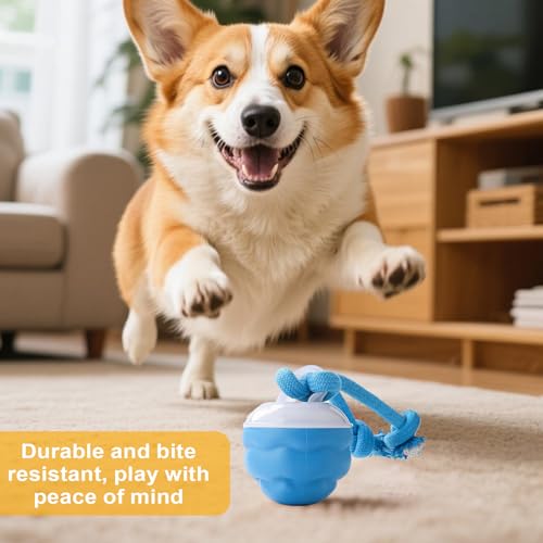 Boule interactive chiens - Solution anti-ennui et destruction pour chiot - 4