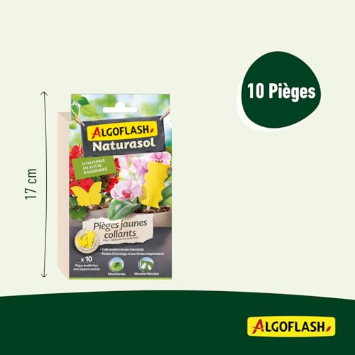 Pièges Jaunes Collants Sans Insecticide ALGOFLASH - Élimine les Insectes - 7