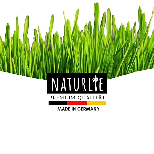 Naturlie XXL 200g Premium Katzengras Samen Set: Saatgut für 80 Töpfe fertiges Katzengras - Saatgut für eine sanfte/weiche Katzenwiese - Premium Saatgut für Deine Katze