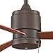 Fanimation Zonix Wet - 52 inch - Oil-Rubbed Bronze with Cherry Blades and Pull-Chain - FP4640OB