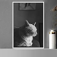 Framed Canvas Wall Art Duotone Cat Animals Black and White Contemporary Dogs Duotone Expressive Grey Living Room Photography - 16x24 inches
